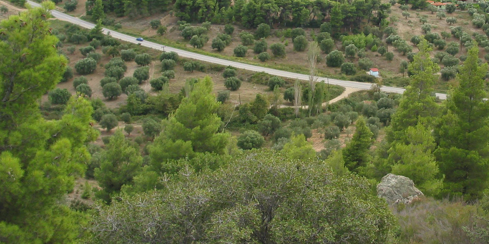 Καταπάτηση Τροπολογία για την δασική νομοθεσία