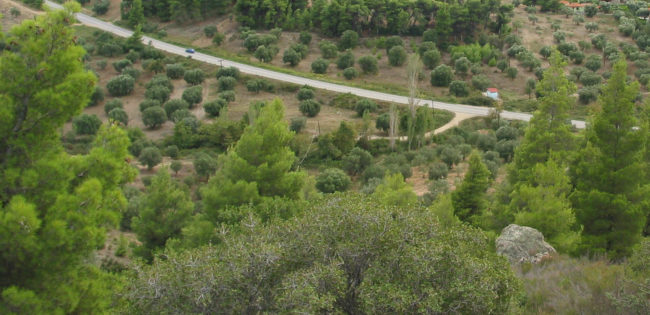 Τροπολογία για την δασική νομοθεσία