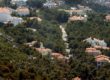 Παράταση για την υποβολή αντιρρήσεων στους δασικούς χάρτες